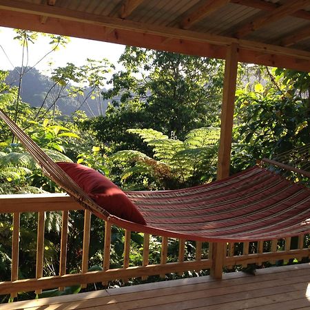 Roots Jungle Retreat Villa Marigot Exterior photo