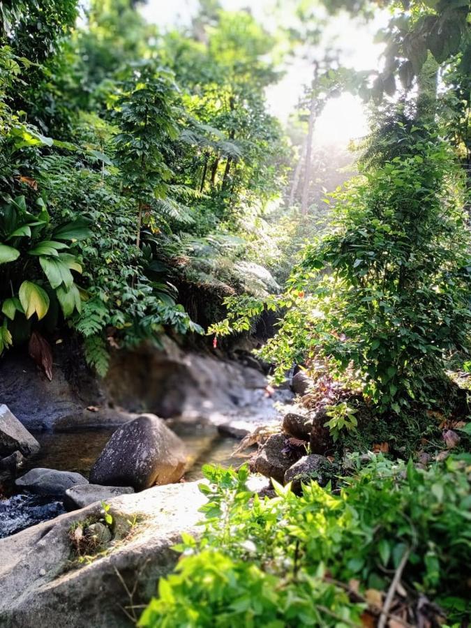 Roots Jungle Retreat Villa Marigot Exterior photo