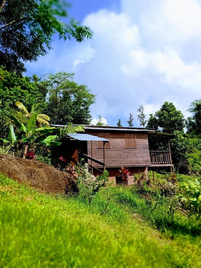 Roots Jungle Retreat Villa Marigot Exterior photo