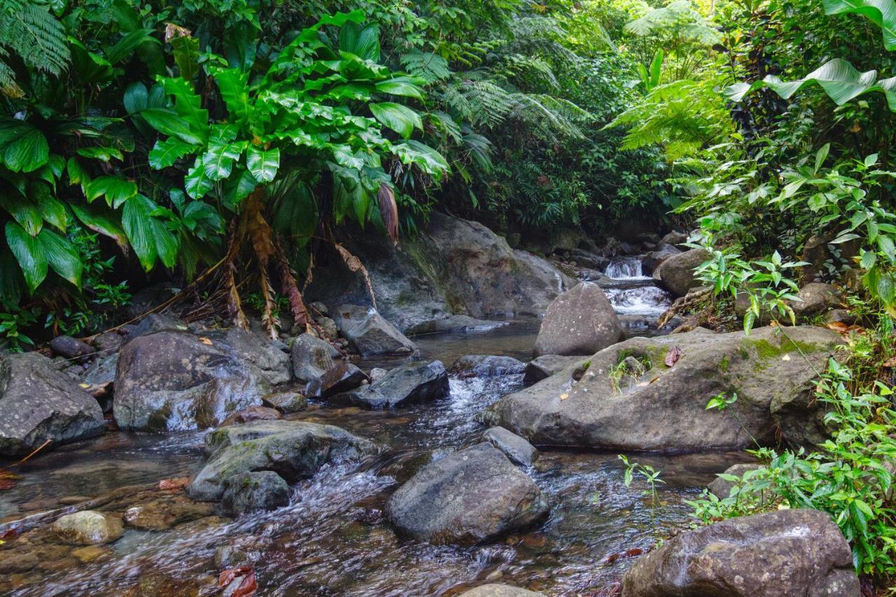Roots Jungle Retreat Villa Marigot Exterior photo