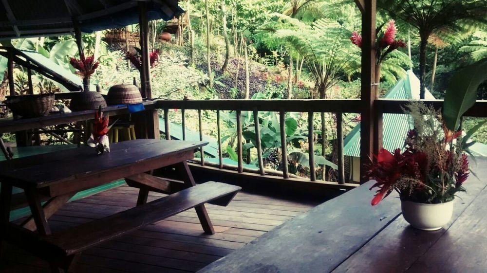 Roots Jungle Retreat Villa Marigot Exterior photo