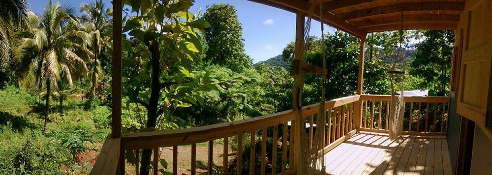 Roots Jungle Retreat Villa Marigot Exterior photo