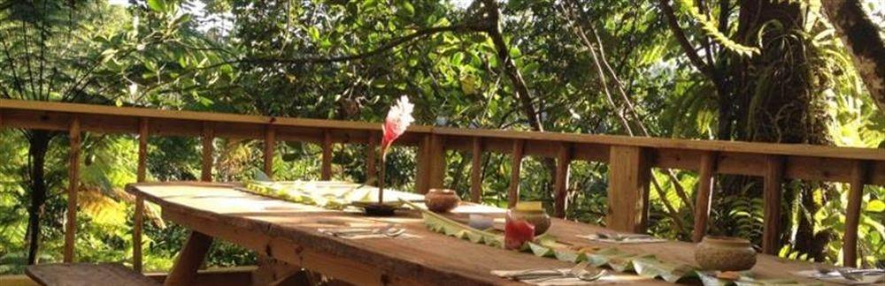 Roots Jungle Retreat Villa Marigot Exterior photo
