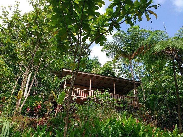 Roots Jungle Retreat Villa Marigot Exterior photo