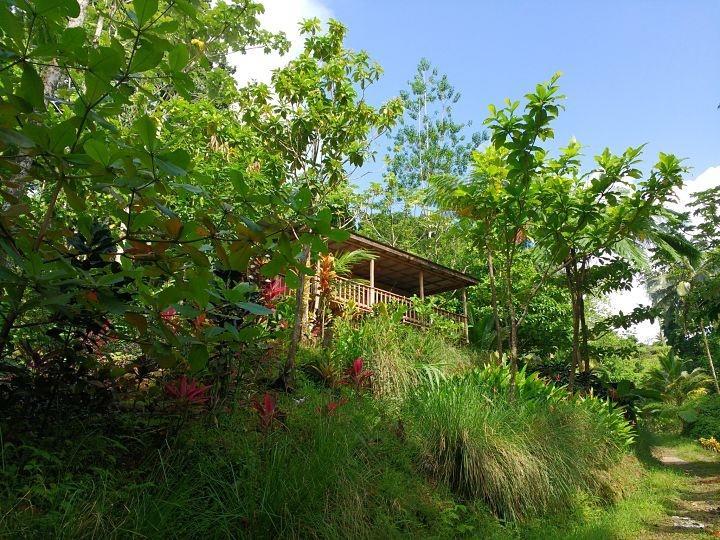 Roots Jungle Retreat Villa Marigot Exterior photo