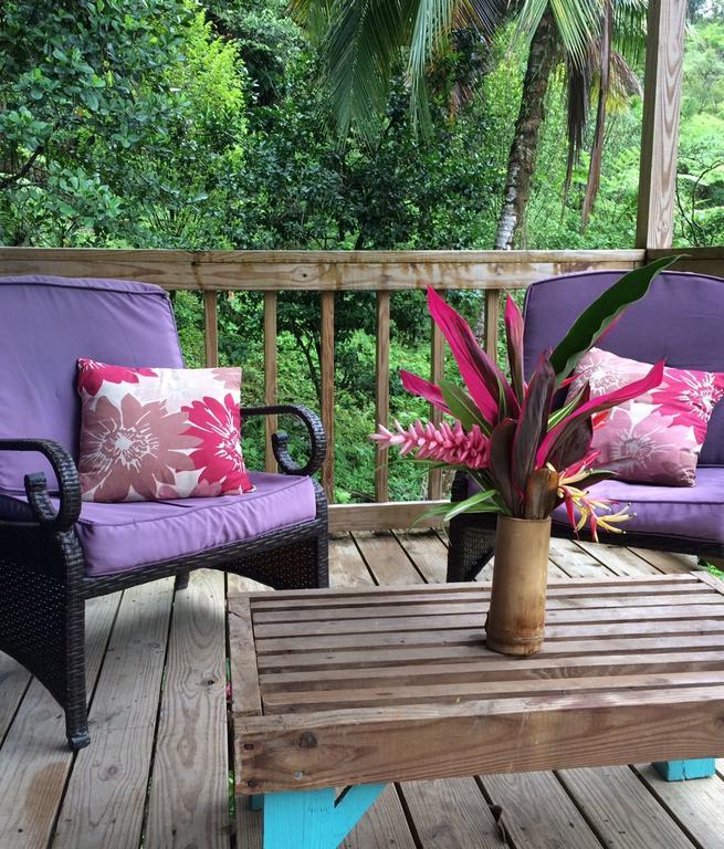 Roots Jungle Retreat Villa Marigot Exterior photo