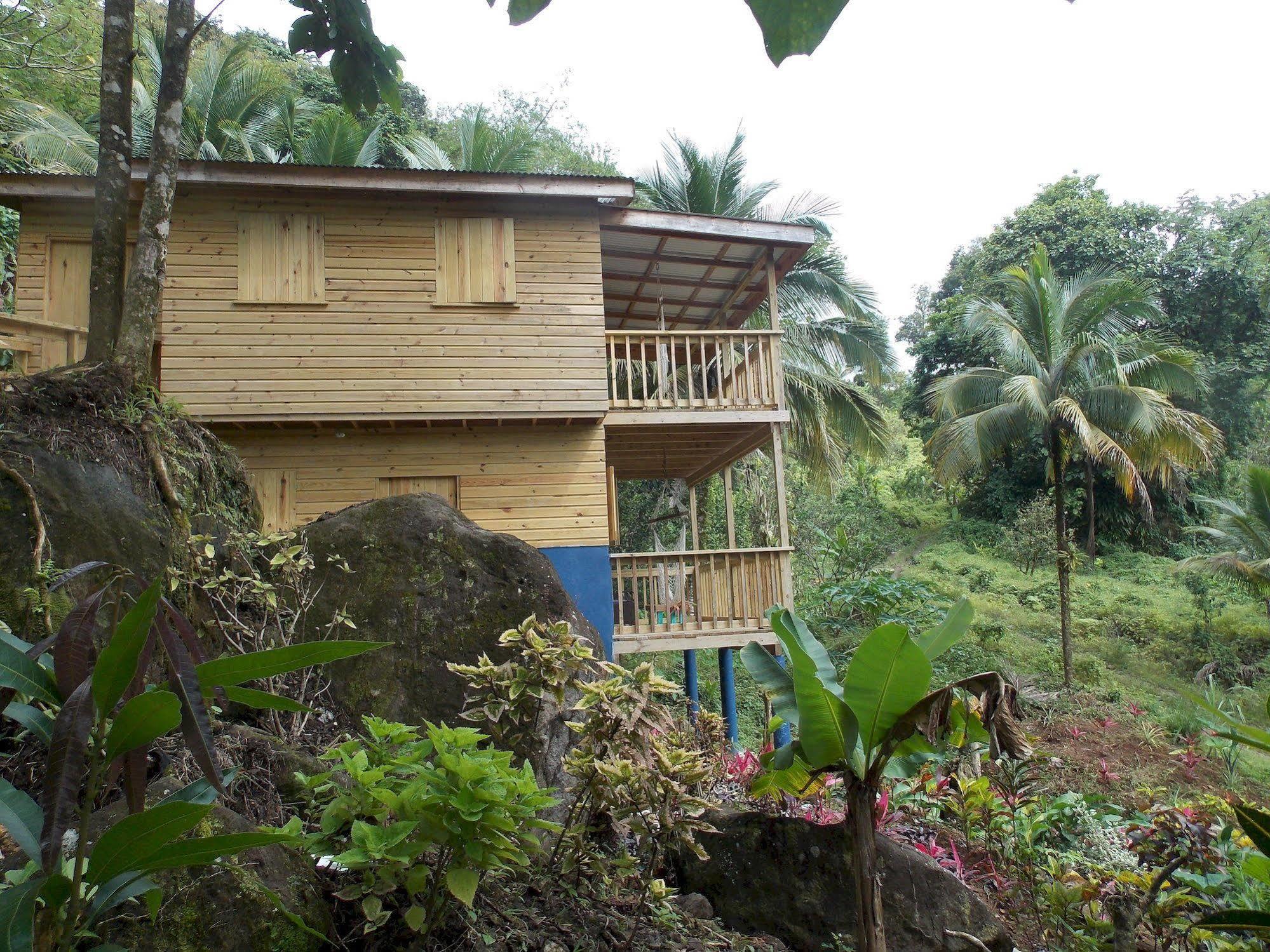 Roots Jungle Retreat Villa Marigot Exterior photo
